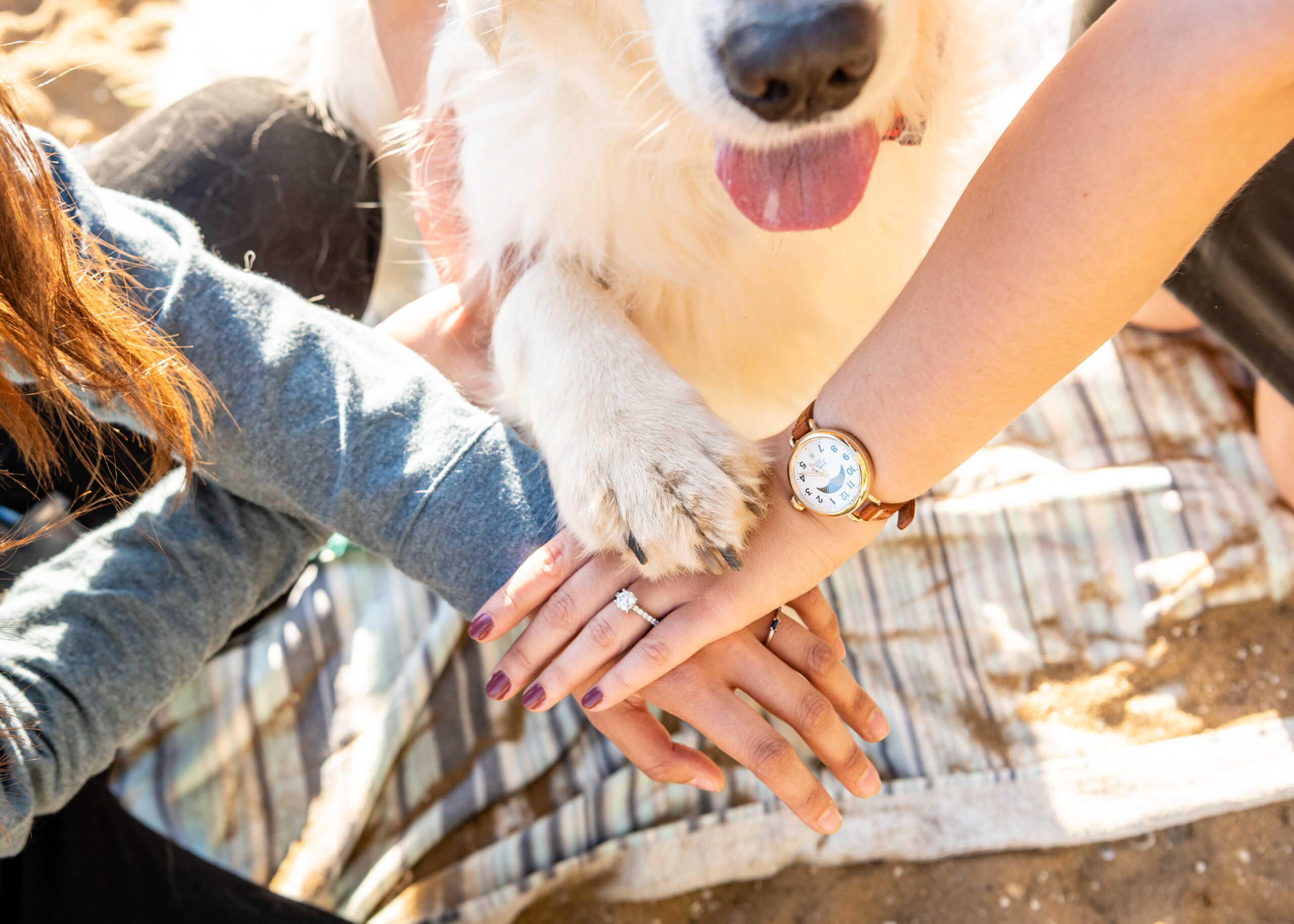 lesbian couple who just got engaged at the beach with their hands over one another with their golden retriever dog's paw on top who's tongue is hanging out